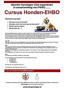 Honden ehbo cursus Oude Pekela