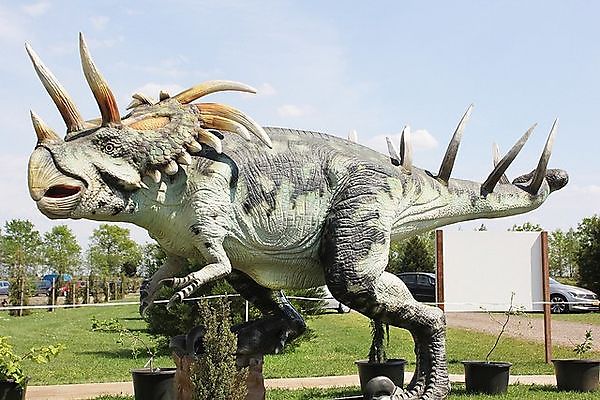 De nacht van de Dino Wedde
