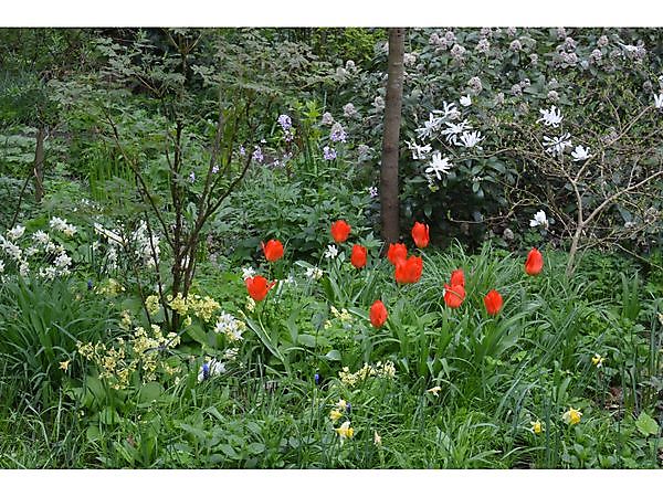 Lentetuinenmarathon Het Tuinpad Op Winschoten