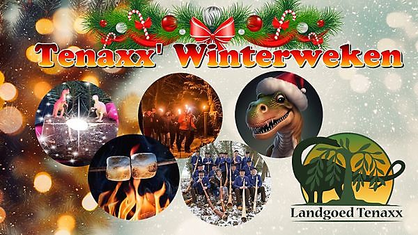 Ontwaken bij Tenaxx Wedde