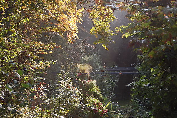 Herfsttuinenmarathon Het Tuinpad Op Oostwold