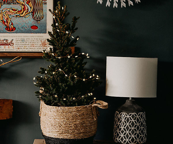 Winterse high tea en mini kerstboom maken Onstwedde English