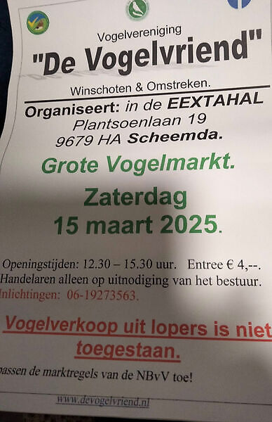 Grote vogelmarkt Scheemda