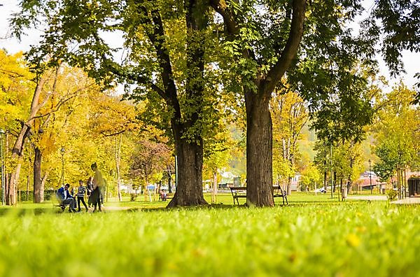 Dag van het Park Winschoten