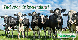 TourismDe koeiendans tijdens Open Dag Blijham