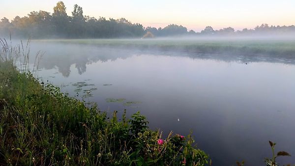 Foto Wakker worden in Wildervank Wildervank