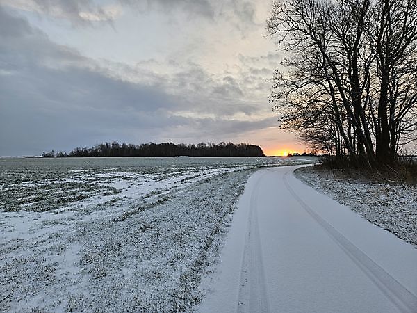 Foto Beersterplas in de winter Beerta