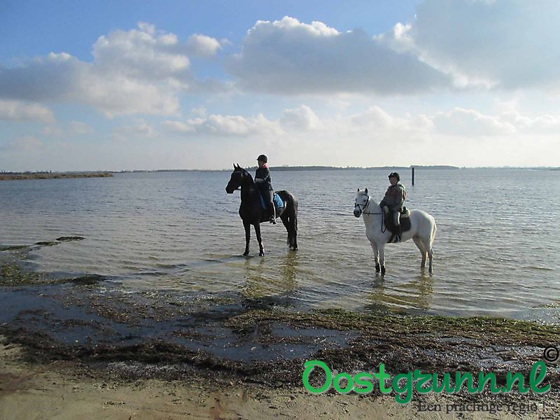Paardrijden op het strand Midwolda
