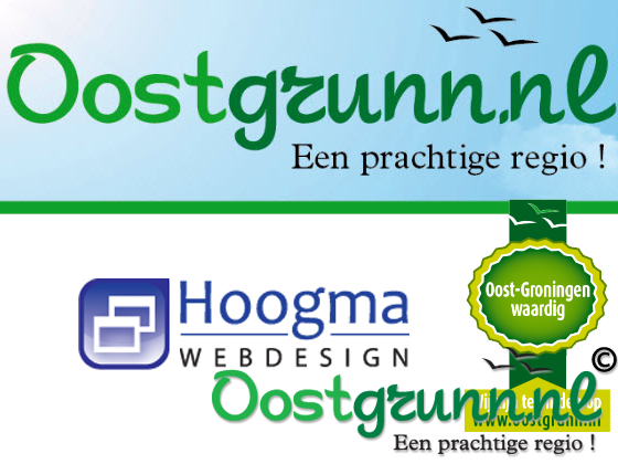 Hoogma webdesign Beerta
