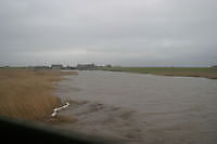 Kiekkast vogelhut in Nieuw Statenzijl Nieuwe Statenzijl, Oldambt