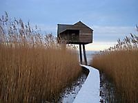 Kiekkast vogelhut in Nieuw Statenzijl Nieuwe Statenzijl, Oldambt