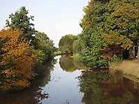 Herfstkleuren Jipsinghuizen en Plaggenborg, Westerwolde