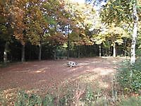 Herfstkleuren in het park Jipsingboertange, Westerwolde