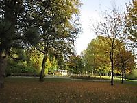 Herfstkleuren in het park Musselkanaal, Stadskanaal