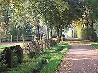 Wonen tussen de bomen Onstwedde, Stadskanaal