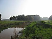 Natuurgebied Metbroekbosch Smeerling, Stadskanaal