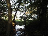 Natuurgebied Metbroekbosch Smeerling, Stadskanaal