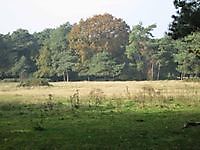 Natuurgebied bij de grens Bourtange, Westerwolde