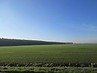 Uitgestrekt landschap Bad Nieuweschans, Oldambt