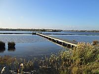 Steiger bij vogeleiland de Kikkerberg Midwolda, Oldambt