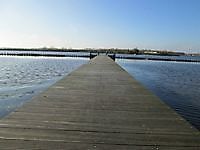 Steiger bij vogeleiland de Kikkerberg Midwolda, Oldambt