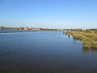 Steiger bij vogeleiland de Kikkerberg Midwolda, Oldambt