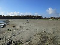 Strand Noordrand Oldambtmeer Midwolda, Oldambt