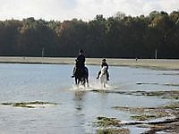 Paardrijden op het strand Midwolda, Oldambt