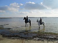 Paardrijden op het strand Midwolda, Oldambt