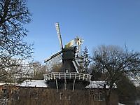 Molen De Spinnenkop Wedderveer, Westerwolde