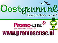 Promosense Sellingen, Westerwolde