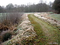 Soldatendijk in de Lethe Bellingwolde, Westerwolde