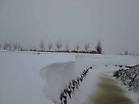 Sneeuwduinen Blauwestad, Oldambt