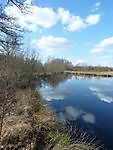 Natuur In Onstwedde en omstreken. Onstwedde, Stadskanaal