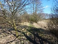 Natuur In Onstwedde en omstreken. Onstwedde, Stadskanaal