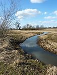 Natuur In Onstwedde en omstreken. Onstwedde, Stadskanaal