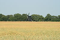 Standerdmolen Ter Haar Ter Apel, Westerwolde