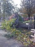 De natuur doet wat hij wil.. Stadskanaal, Stadskanaal