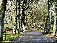 Zware herfst storm Bellingwolde, Westerwolde