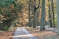 ter apellerbos Ter Apel, Westerwolde