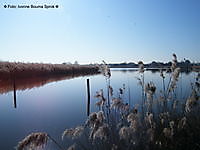 Rust in Blauwe Stad Blauwestad, Oldambt