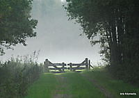 natuur mist Ter Apel, Westerwolde