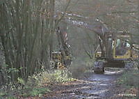 bomenkappen ter apellerbos 't Heem, Aa en Hunze