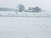 Winter landschap Bellingwolde, Westerwolde