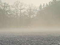 ochten mist Ter Apel, Westerwolde