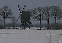 stander molen Ter Wisch Ter Wisch, Westerwolde