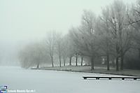 Winter in het park Winschoten, Oldambt