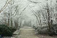 Winter in het park Winschoten, Oldambt