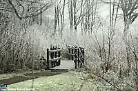 Winter in het park Winschoten, Oldambt