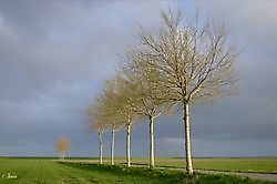 Lijnenspel in de polder Oost Groningen, Oldambt